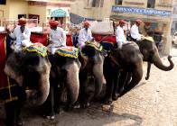 Click for large version