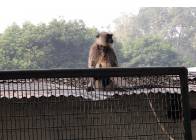 Click for large version