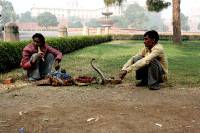 Click for large version