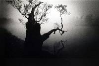 Click for large version