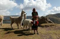 Click for large version