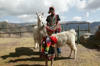 Click for large version