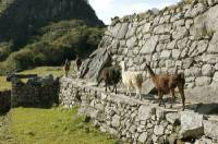 Click for large version