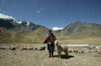 Click for large version