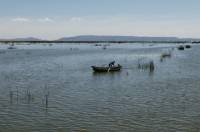 Click for large version