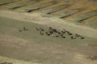 Click for large version