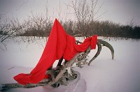 Click for large version