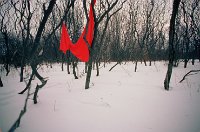 Click for large version