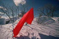 Click for large version