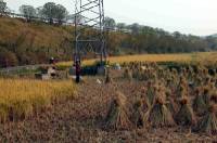 Click for large version