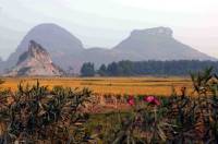 Click for large version