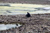 Click for large version