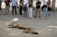 Click for large version