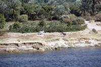 Click for large version