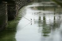 Click for large version