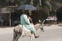 Click for large version