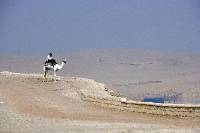 Click for large version