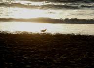 Click for large version