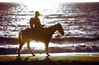 Click for large version