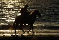 Click for large version