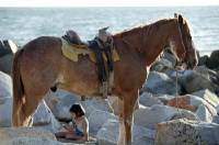 Click for large version