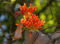 Click for large version