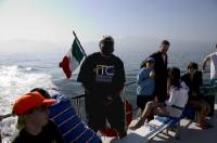 Click for large version