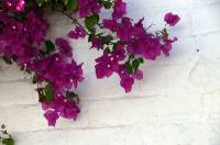 Click for large version